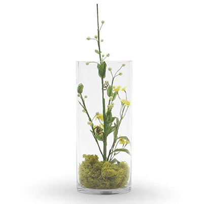 WGV Cylinder Glass Vase, Width 6", Height 12", [Different Heights Available] Clear Container Terrarium for Wedding Centerpiece, Party Event, Home Decor, 1 Piece - size: 6"x12"H