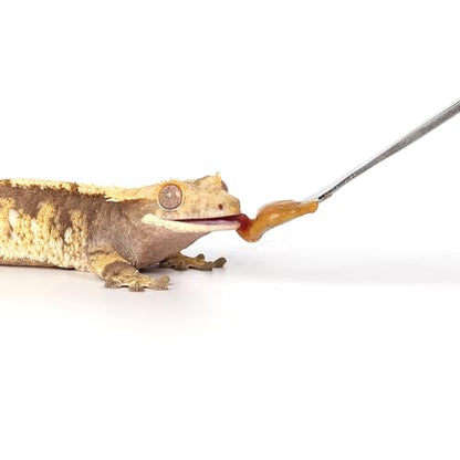 2Pcs Crested Gecko Feeding Spoon, Reptile Powder Food Mixing Spoon | Food Grade Mini Spatula, Soft Tip for Powder Fruit Mixing, Fits Gecko Lizard Bearded Dragon Reptile - size: 0.5 Ounce (Pack of 2)