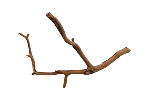 Josh's Frogs Manzanita Wood (Twig) - size: Twig