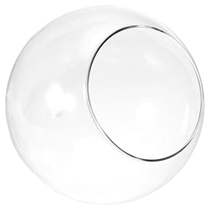 PATIKIL Round Globe Terrarium Air Plant Planter, 6.3 Inch High Borosilicate Glass Table Decorations for Succulent, Tillandsia, Clear - size: 6.3 Inch