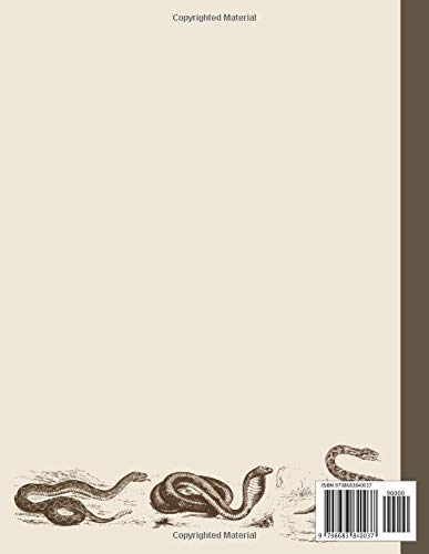 Reptile Care Logbook: Record Book For Pet Bearded Dragon / Lizard / Gecko / Chameleon / Iguana