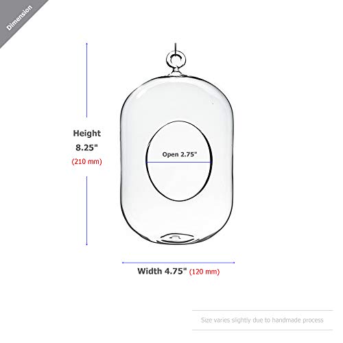 WGV Hanging Glass Plant Terrarium Bulk, Width 5", Height 8", Lantern DIY Air Succulent Planter Clear Tea Light Votive Candle Holder, Wedding Event Office Home Outdoor Decor, 3 Pieces