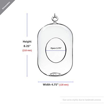 WGV Hanging Glass Plant Terrarium Bulk, Width 5", Height 8", Lantern DIY Air Succulent Planter Clear Tea Light Votive Candle Holder, Wedding Event Office Home Outdoor Decor, 3 Pieces