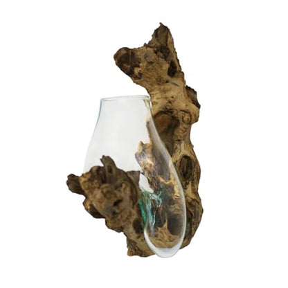 OMA Handcrafted Molten Glass on Driftwood Wall Planter Vase – Unique Hanging Terrarium & Decorative Sculpture – Rustic Coastal Wall Art for Succulents, Air Plants, Indoor Décor - Artisan Boho Gift