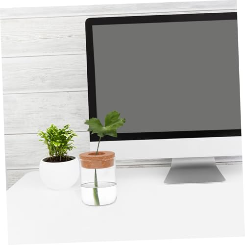 Mikikit 2pcs Glass Hydroponic Terrarium Jar for Indoor Plant Growth Decorative Ecosystem Container Home Office Desk Decor