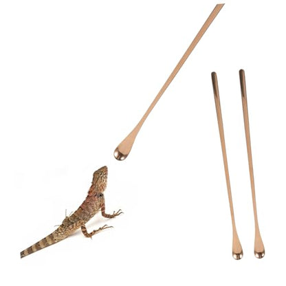Toddmomy 2pcs Reptile Feeding Spoon Lizard Gecko Pet Feeder Tool Small Animal Food Scoop - color: Rose Gold
