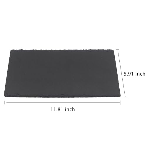 AQUA KT Reptile Basking Platform Tortoise Feeding Dish Natural Rock Design | Use in terrarium tank Amphibian Rock Plate for Lizard Bearded Dragon Snake Chameleon Snake Frog Resting and feeding