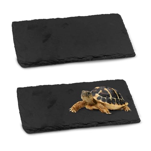 kathson 2 PCS Reptile Basking Platform (7.9 x 3.9 inches), Natural Rock Plate Turtle Food Bowl Feeding Dish Resting Terrace Habitat Decor for Tortoise Turtle Lizard Bearded Dragon Crested Gecko Snake - size: 7.8X3.9inch，2PCS