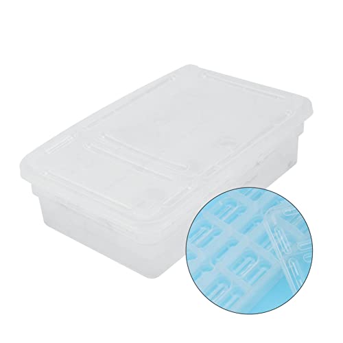Totority 20grids Reptile Egg Incubation Box Practical Hatching Tray for Reptile Breeding Lightweight and Easy to Clean for Gecko Lizard Snake and Tortoise Eggs