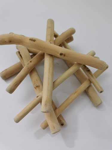 20 Pcs Natural Driftwood Pieces 5.91" Length 0.2-0.8" Thick for DIY Crafts Photo Props Beach Decor School Projects Rustic Unfinished Wood for Art & Home - size: 5.91