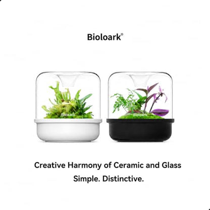 Bioloark MY-150K Glass Plant Terrarium with Ceramic Base, 6.4” x 6.7” White, Moss Terrarium Container with Clear Glass Cover, Ventilation Holes, Moisture Cycle Lid for Ferns, Succulents & Small Plants - color: MY-150K (6.4 "X6.7")White