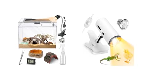 Reptile PC Terrarium, Anti Breakage 12x7x9 inch Amphibians Tank Starter Kits with Reptile Heat Lamp with 50W UVA UVB Light Bulb