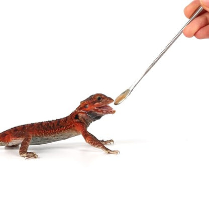 2Pcs Crested Gecko Feeding Spoon, Reptile Powder Food Mixing Spoon | Food Grade Mini Spatula, Soft Tip for Powder Fruit Mixing, Fits Gecko Lizard Bearded Dragon Reptile - size: 0.5 Ounce (Pack of 2)