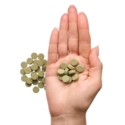 Plecoceramics Protein Wafers Universal Fish Food for Aquarium Fish - Turtle, Goldfish, Catfish - Algae Wafers for Bottom Feeders - Protein Pellets (3.53 oz / 100 gr)