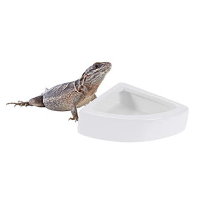 BESPORTBLE 1pc Reptile Feeding Bowl Ceramic Basin for Lizard Turtle Pets Escape Feeder Dish Non- Design White for Food Water Storage