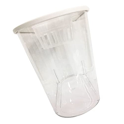 BESPORTBLE Small Plastic Aquarium Tank for Turtles and Reptiles Portable Desk Fish Tank Design for Decor