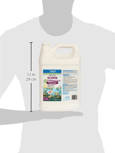 API POND ECOFIX SLUDGE DESTROYER Pond Water Clarifier and Sludge Remover Treatment 1-Gallon Bottle - size: 1-Gallon