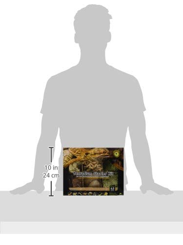 Galápagos (05351) Arid Environment Terrarium Kit Ideal for Reptiles, Amphibians, & Small Critters, 4.5 QT Box, Natural
