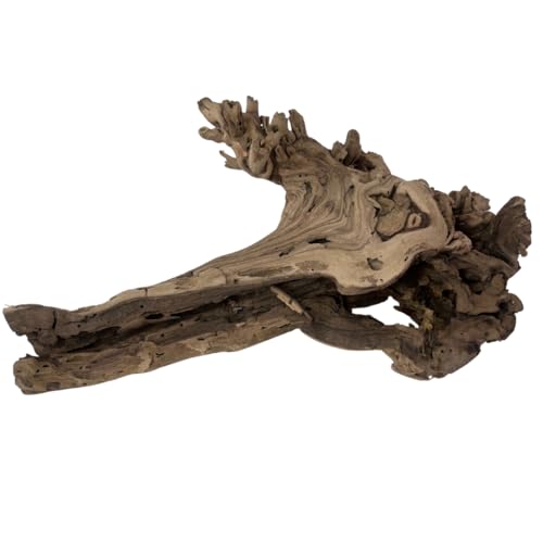 Koyal Wholesale 12" Sandblasted Grapevine Wood for Hamsters, Reptiles Terrarium, Exotic Untreated Grapewood Branch for Decoration Home Wedding DIY - size: 12" Grapevine