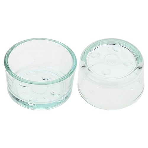 XISAOK Reptiles Food Bowl Anti-Escape Worm Dish Reptiles Glass Feeding Dish Reptiles Drinker Cup for Lizards