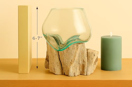 OMA Molten Glass on Driftwood – Hand-Blown Melted Glass Vase, Terrarium, or Planter for Coastal & Boho Home Décor (6"–7" High) - size: 6" High