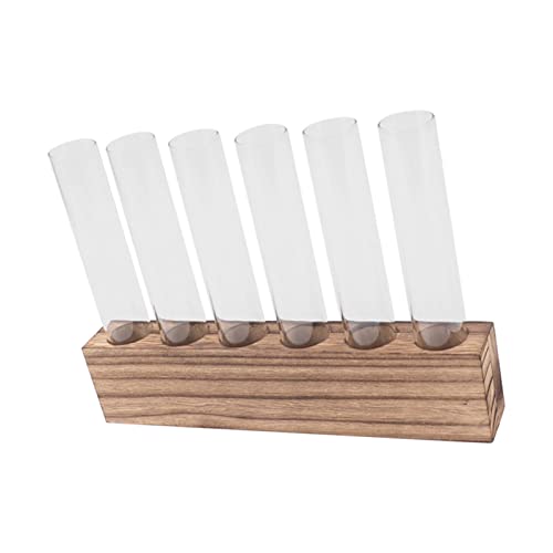 Pssopp Plant Propagation Station Glass Test Tube Plant Terrarium with Wooden Stand for Home Decor Office Living Room Garden (6 Tubes) - size: 6 Tubes