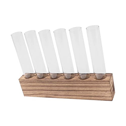 Pssopp Plant Propagation Station Glass Test Tube Plant Terrarium with Wooden Stand for Home Decor Office Living Room Garden (6 Tubes) - size: 6 Tubes