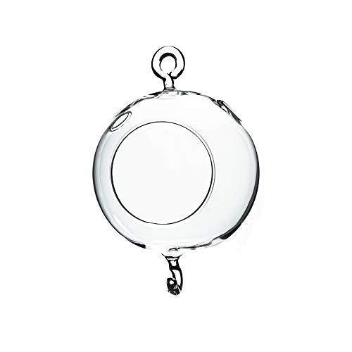 WGV Hanging Terrarium Globe, Width 4", Height 6", Double Hook, DIY Air Succulent Planter, Clear Glass Vase Orb, Candle Holder for Windowsill Outdoor Garden Decor, 1 Piece - size: 4" Double Hook