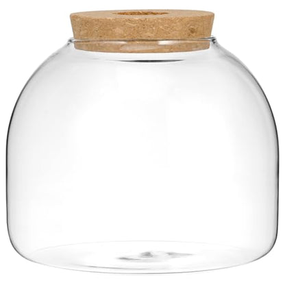 Toddmomy Glass Terrarium Jar with Stopper 5.90In Small Hydroponic Plant Container for Home Office Micro Landscape Decorative Ecosystem