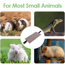 Reptile Sling Carrier, Soft and Comfortable Material Adjustable Strap Bearded Dragon Sling for Outdoor Travel Walking Rest (Grey) - color: Grey