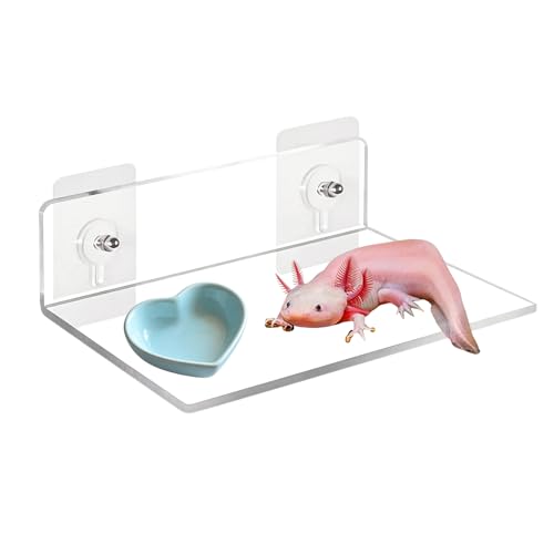 Axolotl Hammock Ledge for Aquarium, Axolotl Feeding Shelf with Feeder Bowl, Ceramic Heart Shape Feeding Dish, Tank Accessories for Bearded Dragons, Geckos, Lizards