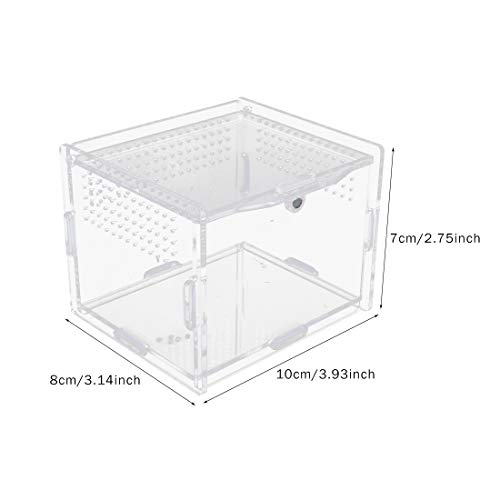 Acrylic Reptile Feeding Box,Reptile Terrarium Transparent Breeding Box Tarantula Enclosure with 2 Straight and Curved Tweezer for Pet Insect Spider Cricket Snail Hermit Crab Lizard,7.9x4.7x4.7inch