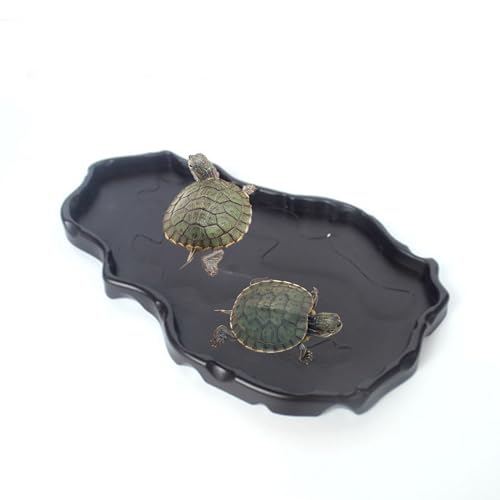 Luminous Reptile Food Bowl,Large Water Dish,Terrarium Bowls, Tortoise Bowl (Black) - color: Black