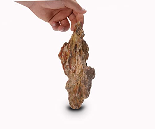 Dragon Stone Natural Aquascaping Rock 16lb Planted Aquarium Decor | Ohko-style texture; planted, reptile terrarium - size: 01 Dragon(Ohko) Stone(2-8inch,16lbs)