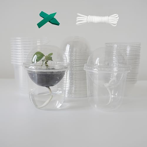 ORIMERC 4 inch Nursery Pots with Drainage, Garden Pots for Seeds, Seedling Pots for Plants, Self Watering Small Plant Pots, Plastic Seed Starter Planting Pots for Vegetable Fruit Flower (60 Set) - size: 60 Pack