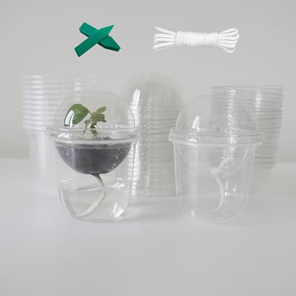 ORIMERC 4 inch Nursery Pots with Drainage, Garden Pots for Seeds, Seedling Pots for Plants, Self Watering Small Plant Pots, Plastic Seed Starter Planting Pots for Vegetable Fruit Flower (60 Set) - size: 60 Pack