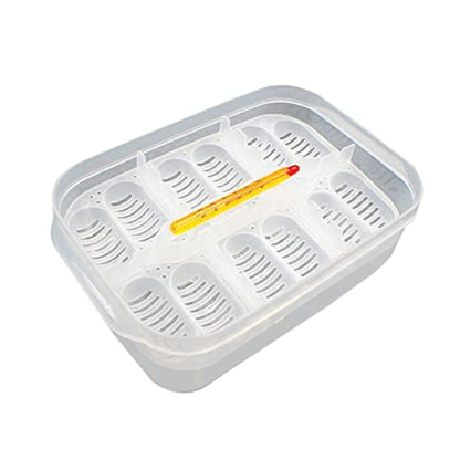 BESPORTBLE Hatchery Breeder Box for Reptiles Snake Lizard Incubation Case Thermometer Egg Capacity Random Color