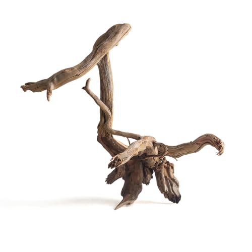 emours Natural Aquarium Driftwood, Upright Root Style Wood for Fish Tank Decor, Unique Driftwood for Aquascape, Terrarium and Reptile Display, 1 Piece (8-12" (20-30 cm)) - size: 8-12" (20-30 cm)