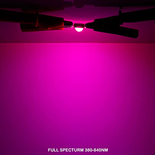 CHANZON 10pcs High Power Led Chip 5W Full Spectrum Plant Grow Light | (380nm - 840nm / 600mA - 700mA / DC 6V - 7V / 5 Watt) SMD COB Emitter Diode Components for DIY Hydroponic Flowers Growing - color: L) Full Spectrum (380-840nm)