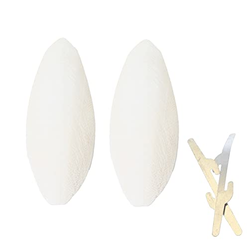 emours Natural Cuttlefish Bone for Reptiles, Tortoises, Tortoise, Snails, Birds and Small Animals (5.5-6 inch (Pack of 2)) - size: 5.5-6 Inch (Pack of 2)