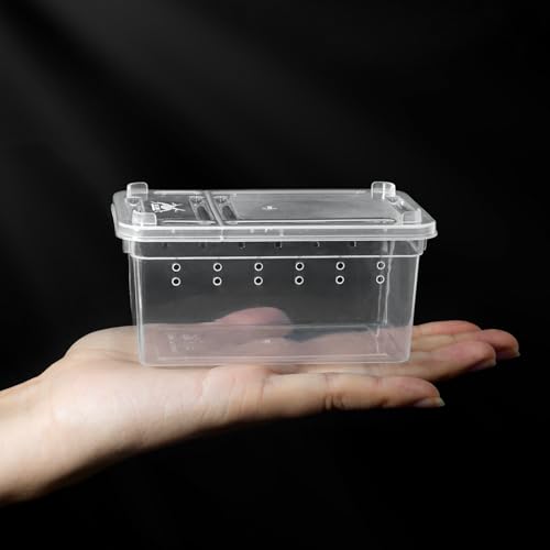 Small Jumping Spider Enclosure - 6 Pack Spider Terrariums, Breeding Box, Transparent Hatching Container, Plastic Feeding Box - 6 Pcs Super Mini