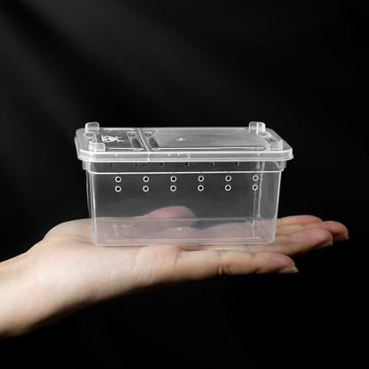 Small Jumping Spider Enclosure - 6 Pack Spider Terrariums, Breeding Box, Transparent Hatching Container, Plastic Feeding Box - 6 Pcs Super Mini