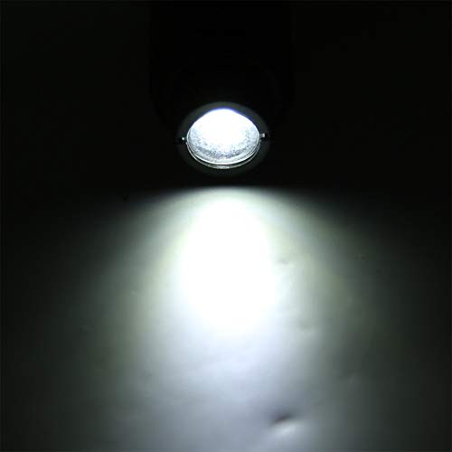 ZJchao LED Egg Candler Light, High Bright Cold LED Hatching Monitor Interchangeable Shades | Thermal-Safe Poultry Tester for Chicken, Duck Quail Eggs Farm Classroom