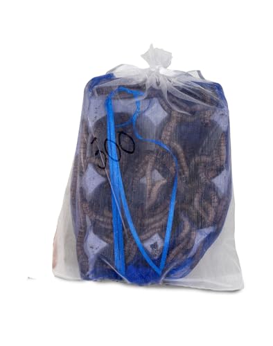 Josh's Frogs Superworms (300 Count) - size: 300 Count (Pack of 1)