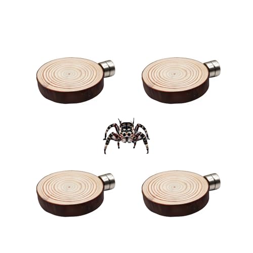 Jumping Spider Accessories, 4 Pack Wooden Ledges with Magnets, Natural Pine Spiders Ledges, Jumping Spider Enclosure Accessories, Magnetic Reptile Ledge - color: Natural Wood