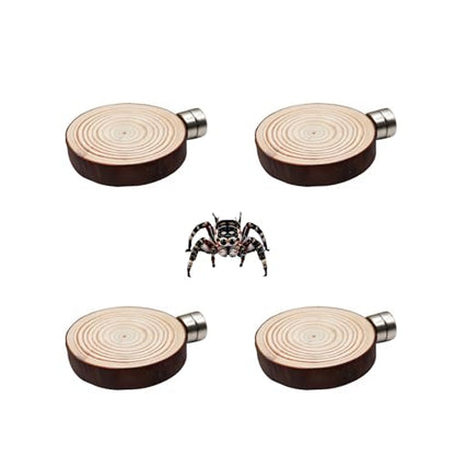 Jumping Spider Accessories, 4 Pack Wooden Ledges with Magnets, Natural Pine Spiders Ledges, Jumping Spider Enclosure Accessories, Magnetic Reptile Ledge - color: Natural Wood