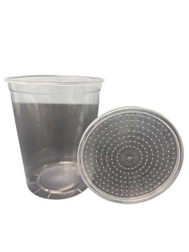 32oz Deli Cups with Vented Insect Feeder lids - 10 Pack for Fruit Fly & Feeder Insect Cultures (Vented Lid)
