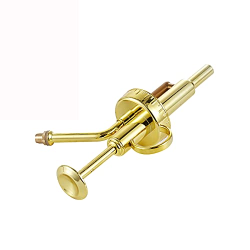 Sprayers Watering Nozzles, Plastic Golden Top Pump, Replacement for Glass Plant Mister Spray Bottle - color: Replacement Nozzle