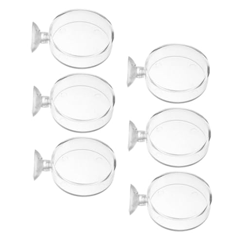 6pcs Cup Feeding Dish for Reptiles and Fish Food Trays for Aquatic Supplies Easy to Install and Clean for Freshwater Environments