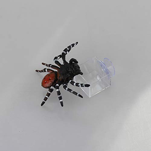 4pcs mini Insect Water Dish, Transparent Plastic, Small Reptile Feeding Feeder, Crickets Pet Worm Cups Spider Gecko Butterfly Mantis Beetle Bowl Set | Wall Mounted Reptile Food Dish And Water Bowl Set For Small Lizard, Mantis And Jumping Spider, Animals E